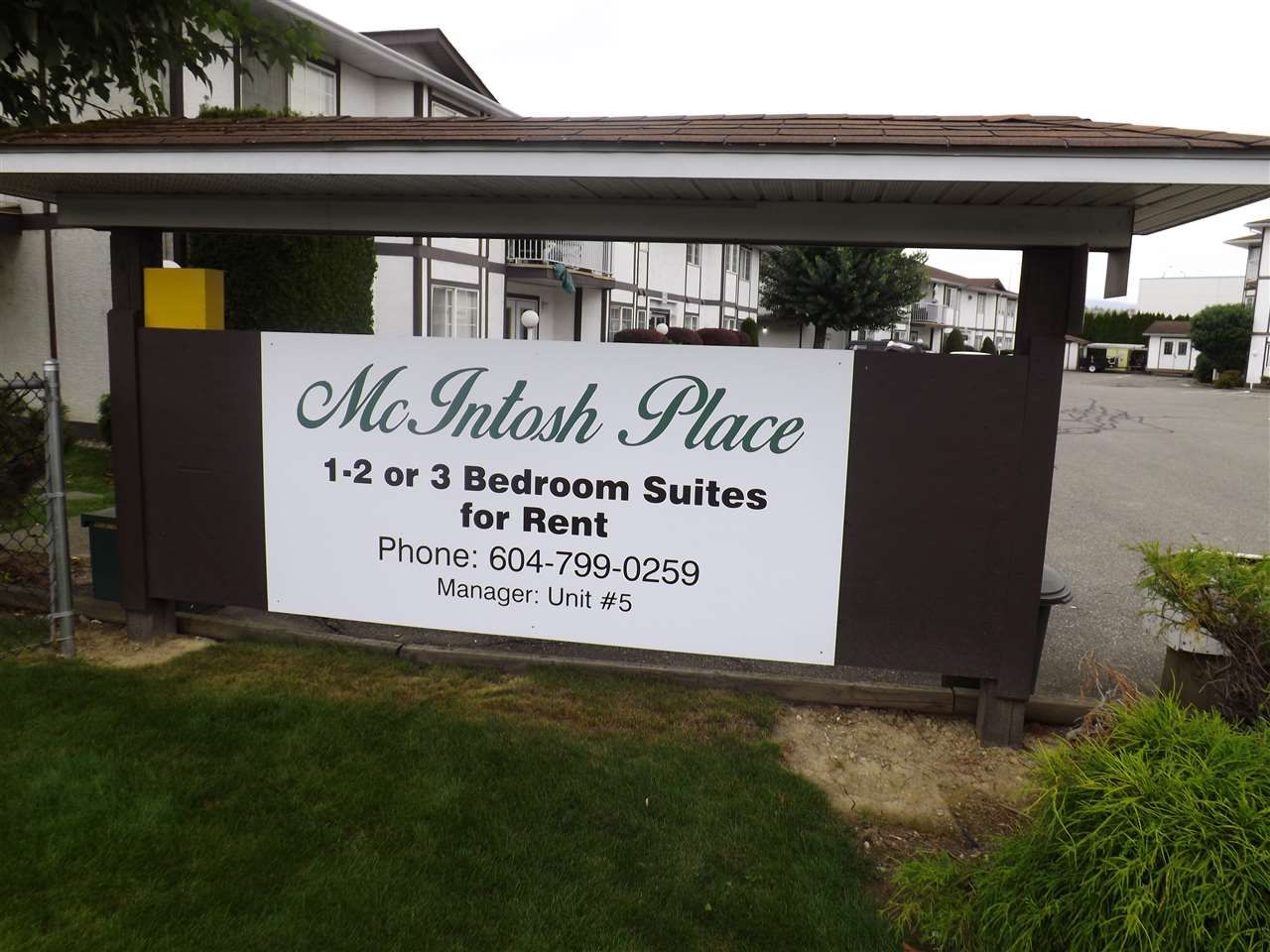 Main Photo: 104A 45655 MCINTOSH Drive in Chilliwack: Chilliwack W Young-Well Condo for sale : MLS®# R2114431