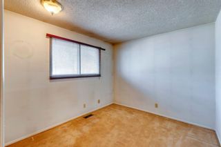 Photo 6: 2523 62 Street NE in Calgary: Pineridge Semi Detached for sale : MLS®# A1204768