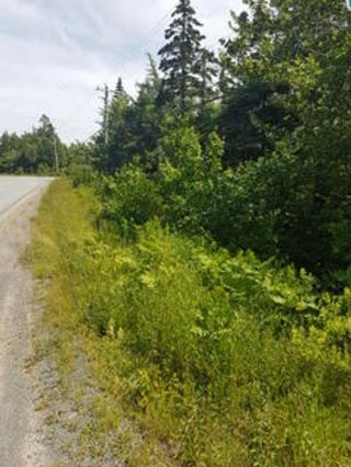 Photo 17: Lot F Clam Bay Road in Lake Charlotte: 35-Halifax County East Vacant Land for sale (Halifax-Dartmouth)  : MLS®# 202207963
