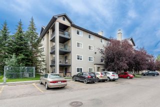 Photo 27: 3208 4975 130 Avenue SE in Calgary: McKenzie Towne Apartment for sale : MLS®# A1245282