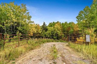 Photo 3: 64 Hawk's Landing Drive: Rural Foothills County Residential Land for sale : MLS®# A2079106