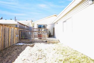 Photo 36: 19 Erin Park Bay SE in Calgary: Erin Woods Detached for sale : MLS®# A2125243
