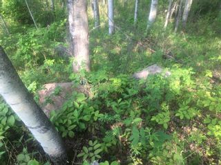 Photo 7: 224002 Township Road 654: Rural Athabasca County Residential Land for sale : MLS®# A2104804