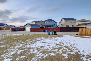Photo 49: 155 Martinwood Place NE in Calgary: Martindale Detached for sale : MLS®# A1205507