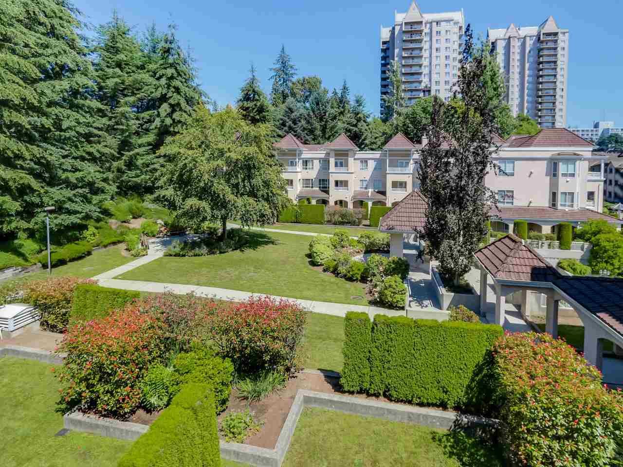 Photo 15: Photos: 310 523 WHITING Way in Coquitlam: Coquitlam West Condo for sale in "BROOKSIDE MANOR" : MLS®# R2085484