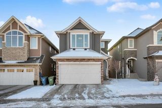 Main Photo: 14 Sage Meadows Way NW in Calgary: Sage Hill Detached for sale : MLS®# A2133312