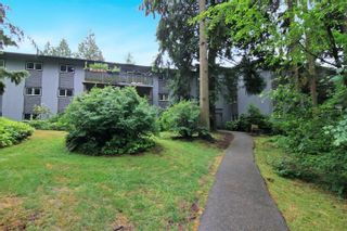 Photo 18: 320 204 WESTHILL PLACE in Port Moody: College Park PM Condo for sale : MLS®# R2788101
