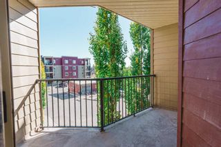 Photo 16: 306 5 Saddlestone Way NE in Calgary: Saddle Ridge Apartment for sale : MLS®# A2124414