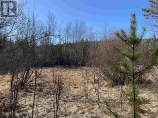 Photo 14: Lot B LONE BUTTE HORSE LAKE ROAD in 100 Mile House: Vacant Land for sale : MLS®# R2870362