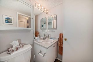 Photo 28: 1410 6224 17 Avenue SE in Calgary: Red Carpet Apartment for sale : MLS®# A2130703