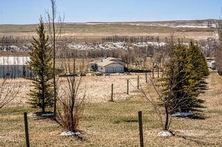 Photo 27: 80131 434 Avenue W: Rural Foothills County Detached for sale : MLS®# A2124798