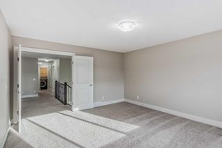 Photo 23: 429 Nolan Hill Boulevard NW in Calgary: Nolan Hill Detached for sale : MLS®# A2093146