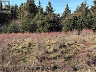 Photo 4: Lot 1 Old 329 Highway in Bayswater: Vacant Land for sale : MLS®# 202325483