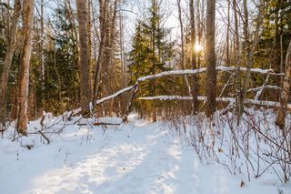 Photo 40: RAINBOW FALLS ROAD in McBride: McBride - Town Vacant Land for sale (Robson Valley)  : MLS®# R2743234