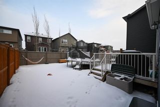 Photo 35: 52 Evansborough Road NW in Calgary: Evanston Detached for sale : MLS®# A2016793