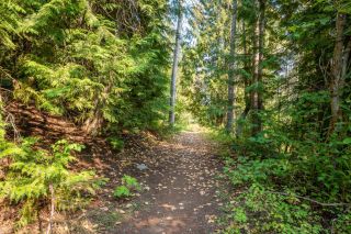 Photo 32: 2009 HAPPY VALLEY ROAD in Rossland: Vacant Land for sale : MLS®# 2472960