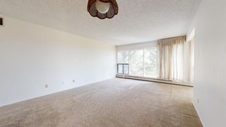 Photo 11: 301 75 Temple Boulevard W: Lethbridge Apartment for sale : MLS®# A2034020