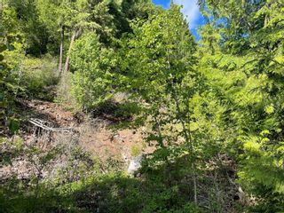Photo 4: 54 Old Town Road, in Sicamous: Vacant Land for sale : MLS®# 10256658