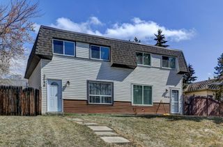 Main Photo: 3046 Doverville Crescent SE in Calgary: Dover Semi Detached (Half Duplex) for sale : MLS®# A2039411