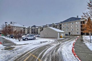 Photo 3: 4122 4975 130 Avenue SE in Calgary: McKenzie Towne Apartment for sale : MLS®# A2097914