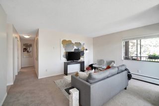 Photo 15: 201 1555 FIR Street: White Rock Condo for sale in "SAGEWOOD PLACE" (South Surrey White Rock)  : MLS®# R2779814