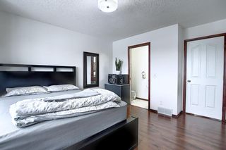 Photo 21: 47 Appleburn Close SE in Calgary: Applewood Park Detached for sale : MLS®# A1049300