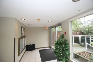 Photo 17: 403 11671 FRASER Street in Maple Ridge: East Central Condo for sale : MLS®# R2762199