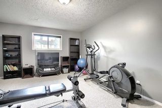 Photo 26: 16 GREENVIEW Crescent: Strathmore Detached for sale : MLS®# C4303060