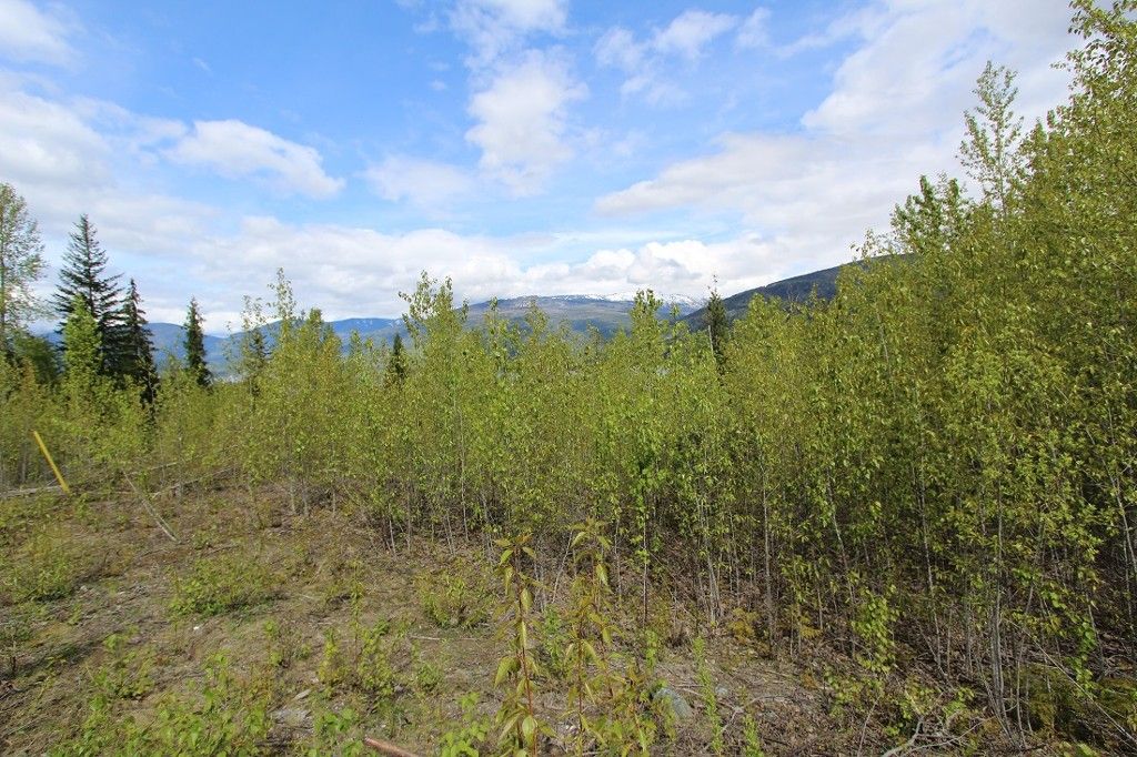 Main Photo: Lot 81 Sunset Drive: Eagle Bay Land Only for sale (Shuswap)  : MLS®# 10186644