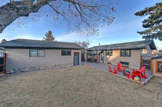 Photo 43: 7715 Hunterquay Way NW in Calgary: Huntington Hills Detached for sale : MLS®# A2101604