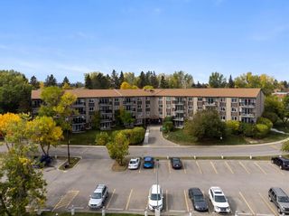 Photo 37: 706 8948 Elbow Drive SW in Calgary: Haysboro Apartment for sale : MLS®# A2080721