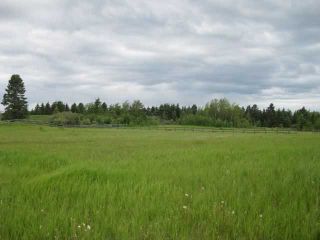 Photo 11: 12 KMS NORTH ON COCHRANE in COCHRANE: Rural Rocky View MD Rural Land for sale : MLS®# C3526638