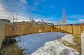 Photo 41: 69 SILVERADO Boulevard SW in Calgary: Silverado Detached for sale : MLS®# A1072031