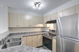 Photo 2: 4221 4975 130 Avenue SE in Calgary: McKenzie Towne Apartment for sale : MLS®# A1080601