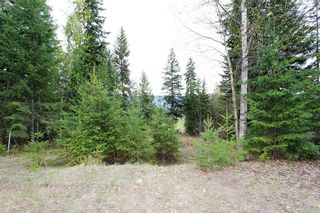Photo 5: 99 Fraser Crescent: Anglemont Land Only for sale (North Shuswap)  : MLS®# 10097577