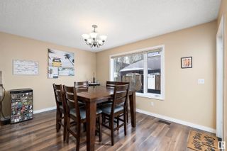 Photo 11: 3716 161 Avenue in Edmonton: Zone 03 House for sale : MLS®# E4379077