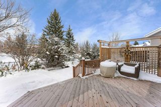 Photo 41: 45 Chaparral Cove SE in Calgary: Chaparral Detached for sale : MLS®# A2119737