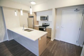 Photo 3: 310 70 Philip Lee Drive in Winnipeg: Crocus Meadows Condominium for sale (3K)  : MLS®# 202115676
