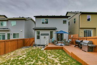 Photo 33: 621 Nolan Hill Boulevard NW in Calgary: Nolan Hill Detached for sale : MLS®# A2076619
