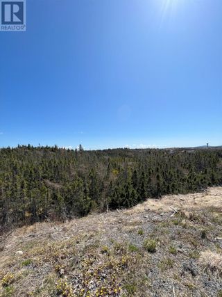 Photo 3: Lot 49 Cottage Place in Whitbourne: Vacant Land for sale : MLS®# 1258385