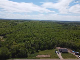 Photo 5: 726 Pleasant Brook Road in Pleasant Valley: 104-Truro / Bible Hill Vacant Land for sale (Northern Region)  : MLS®# 202213013