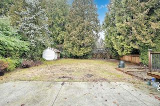 Photo 6: 21541 123 Avenue in Maple Ridge: West Central House for sale : MLS®# R2748408