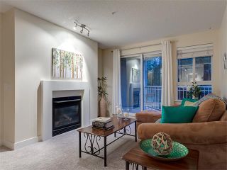 Photo 10: 224 35 RICHARD Court SW in Calgary: Lincoln Park Condo for sale : MLS®# C4021512