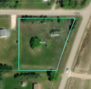 Photo 10: 229 Notre Dame Street in Winnipegosis: R31 Residential for sale (R31 - Parkland)  : MLS®# 202318661