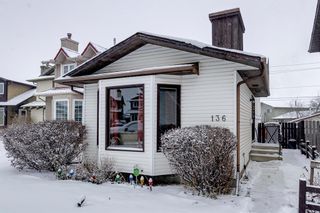 Photo 40: 136 Templeby Place NE in Calgary: Temple Detached for sale : MLS®# A2014762