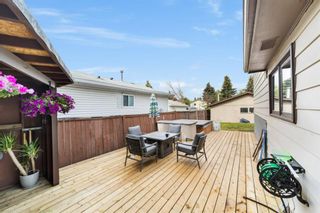 Photo 28: 255 Erin Woods Drive SE in Calgary: Erin Woods Detached for sale : MLS®# A1251085