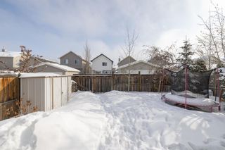 Photo 46: 692 Cranston Drive SE in Calgary: Cranston Detached for sale : MLS®# A2030411