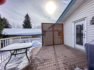 Photo 45: 528 Willacy Drive SE in Calgary: Willow Park Detached for sale : MLS®# A2032011