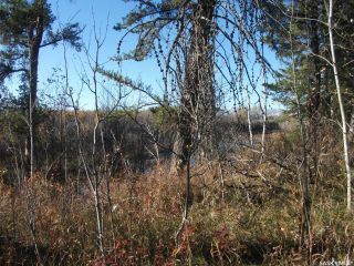 Photo 8: Rec Lot 4 Blk 3 in Hudson Bay: Lot/Land for sale (Hudson Bay Rm No. 394)  : MLS®# SK925952