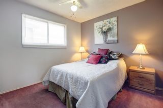 Photo 12: 3431 30A Avenue SE in Calgary: Dover Detached for sale : MLS®# A1200936